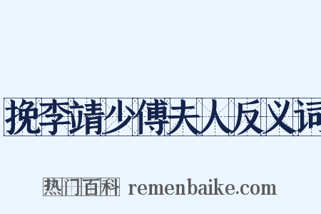 挽李靖少傅夫人反义词是什么意思的图片